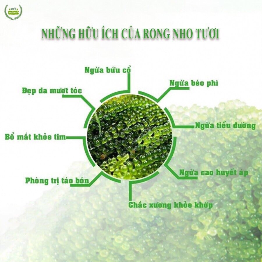 [CHÍNH HÃNG] Túi rong nho tách nước YUKIBUDO túi 25 g, rong nho tách nước Công nghệ Nhật Bản, hoàn toàn tự nhiên 100%