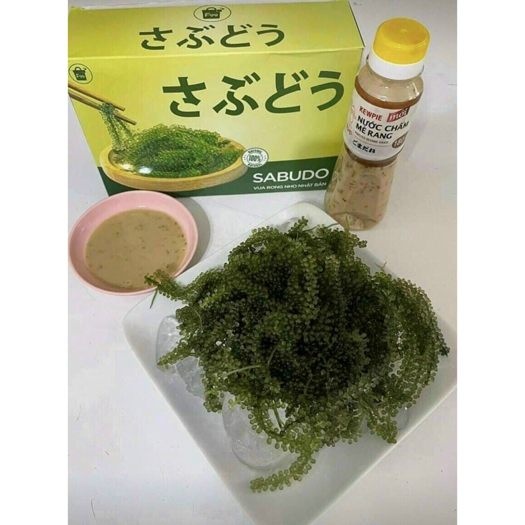 [CHÍNH HÃNG] COMBO 1 Hộp Rong nho tách nước SABUDO và 1 Chai xốt mè rang, vua rong nho Nhật Bản, rong nho Sabudo