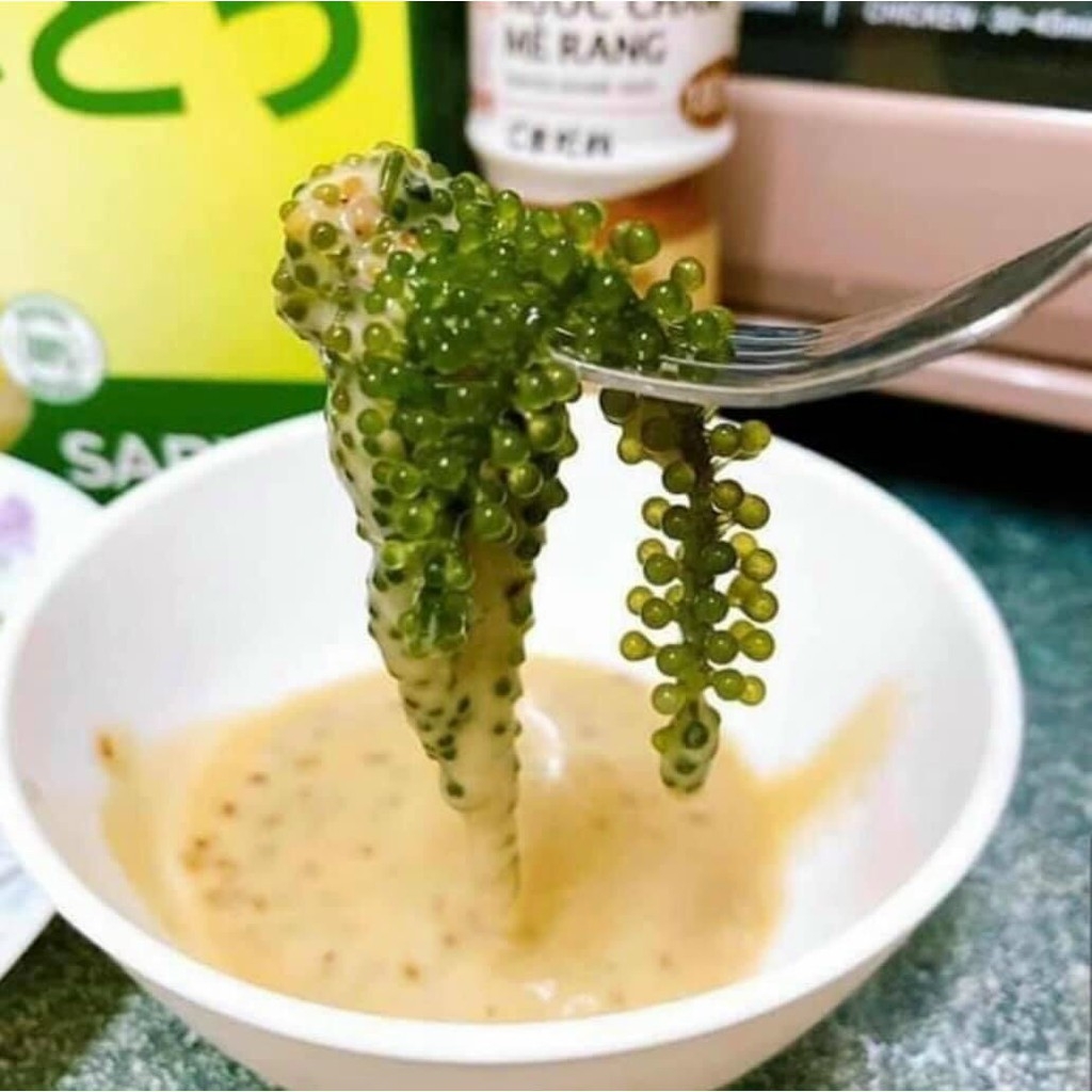 [CHÍNH HÃNG] COMBO 2 Hộp Rong nho tách nước SABUDO và 2 Chai xốt mè rang, vua rong nho Nhật Bản, rong nho Sabudo