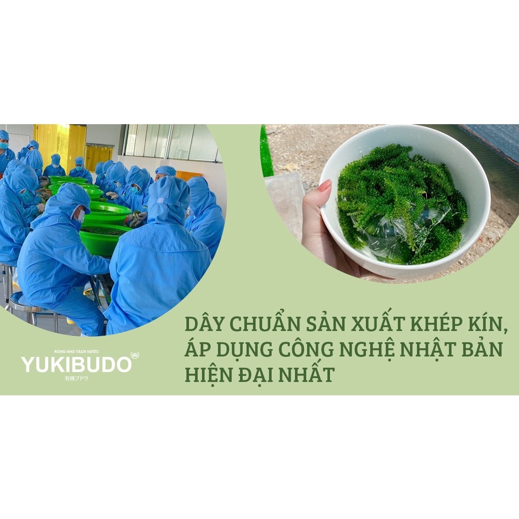COMBO 1 hộp rong nho YUKIBUDO và 1 lọ xốt mè rang 300ml YUKIBUDO, Rong nho tách nước YUKIBUDO [CHÍNH HÃNG]